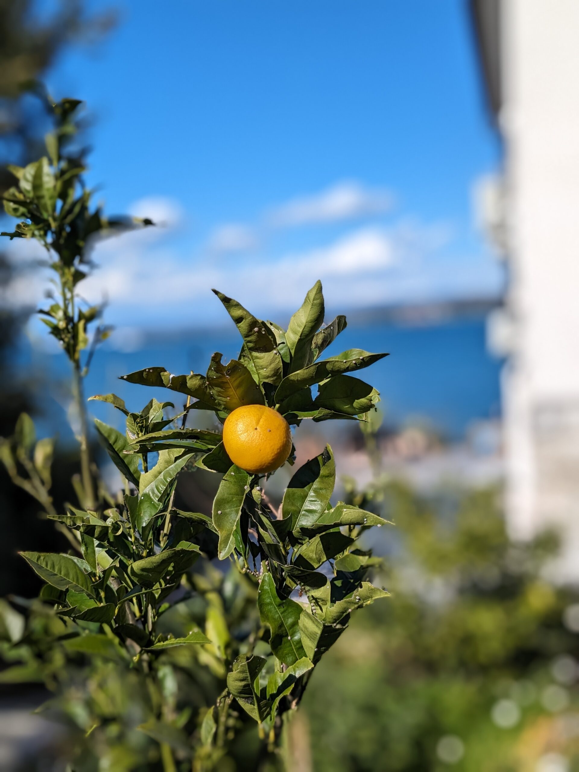 Von Villach nach Koper