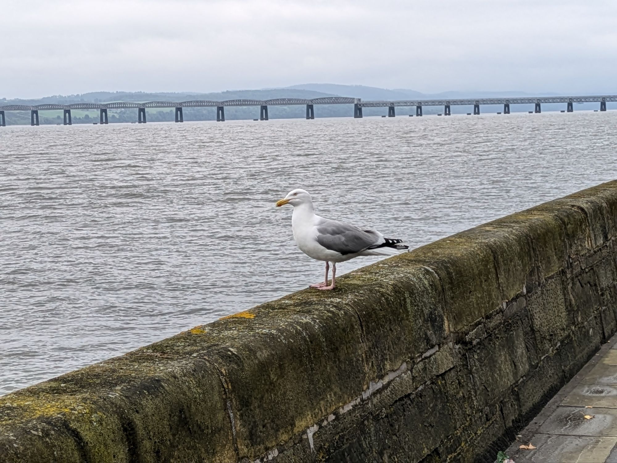 Weiterreise nach Dundee