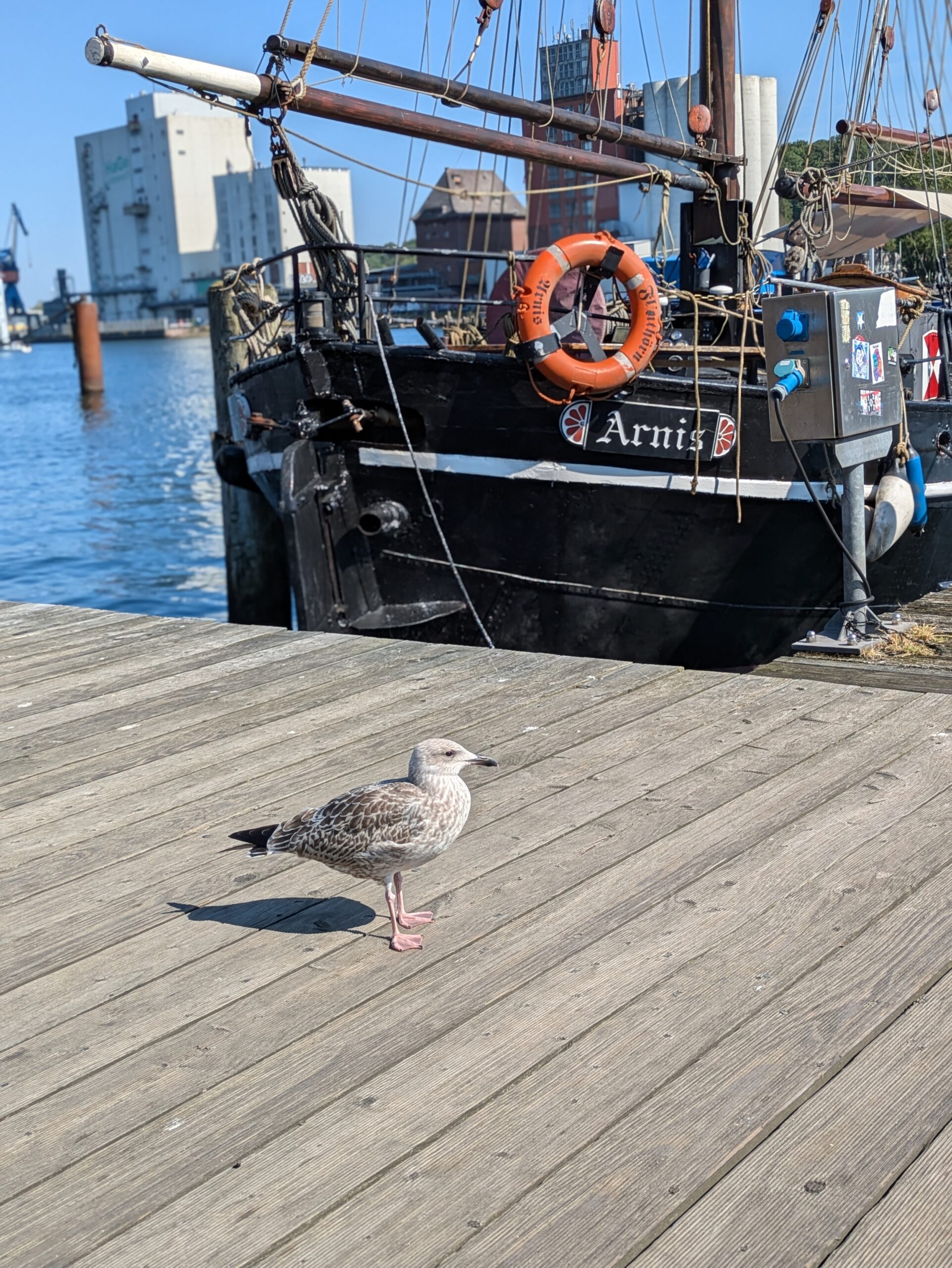 Über Flensburg nach Dänemark