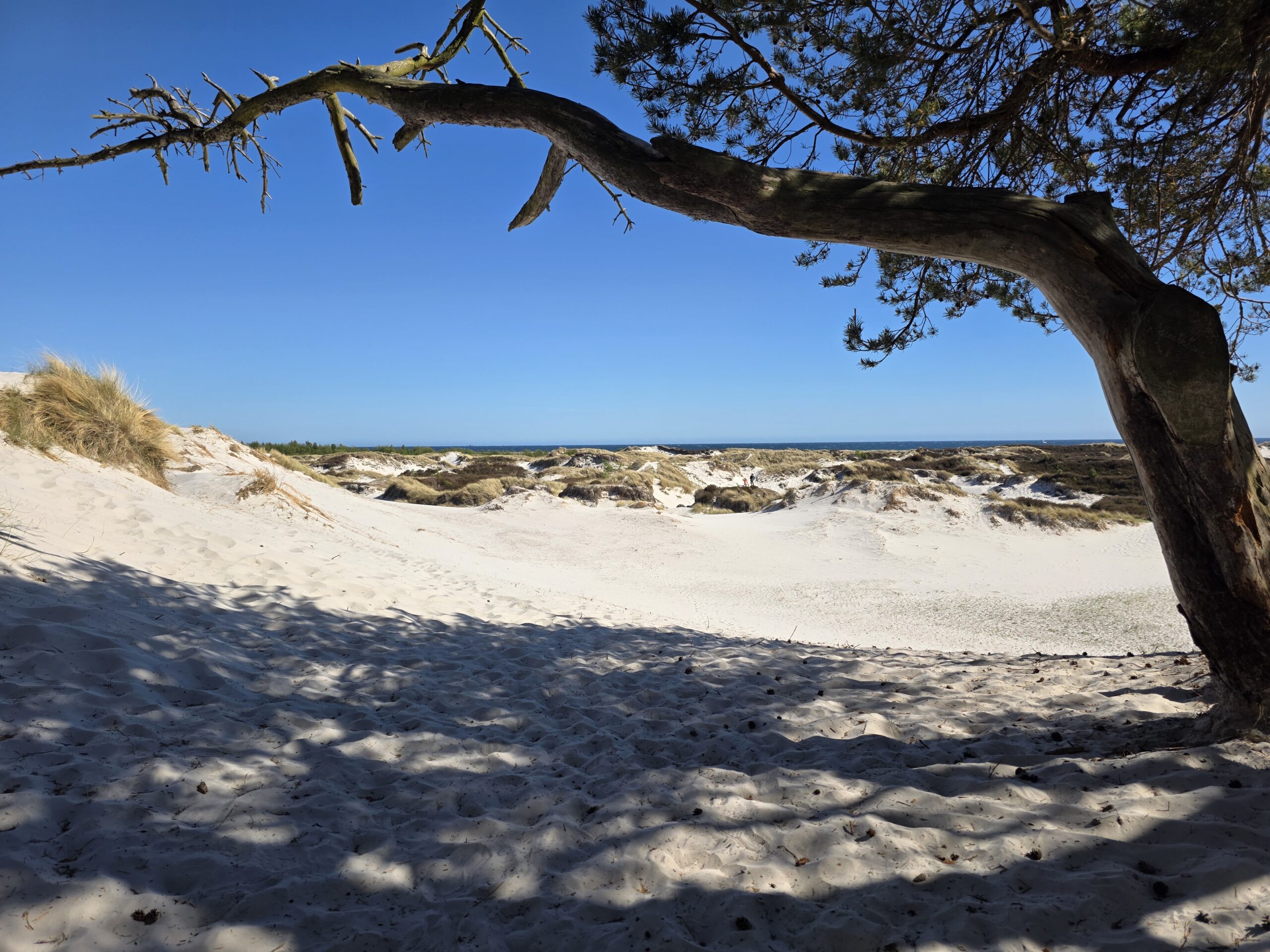 Nexø und Dueodde Strand